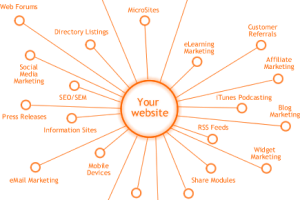 Web Strategy – the Basics