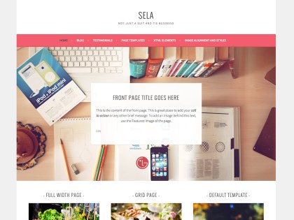 WordPress Themes for Blogs at WordPress.com